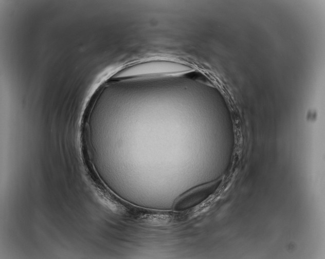 X0000098200104200805151238