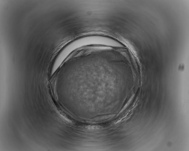 X0000098200105200805151238