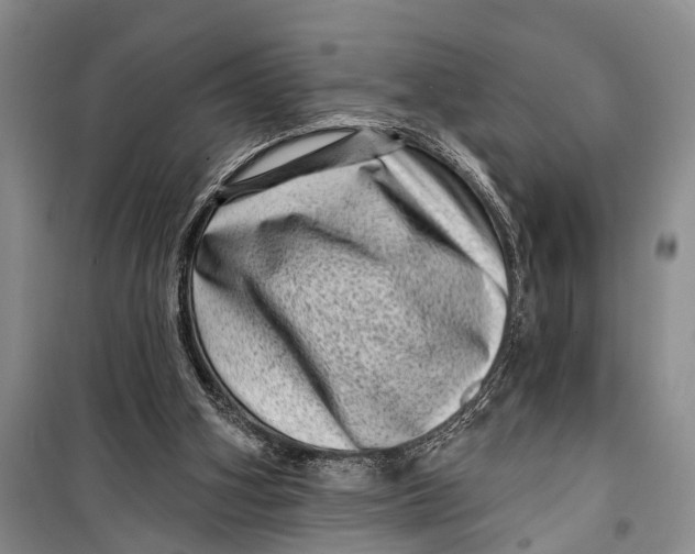X0000098200106200805151238