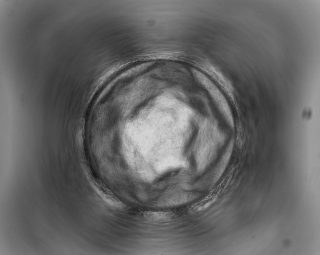 X0000098200107200805151238