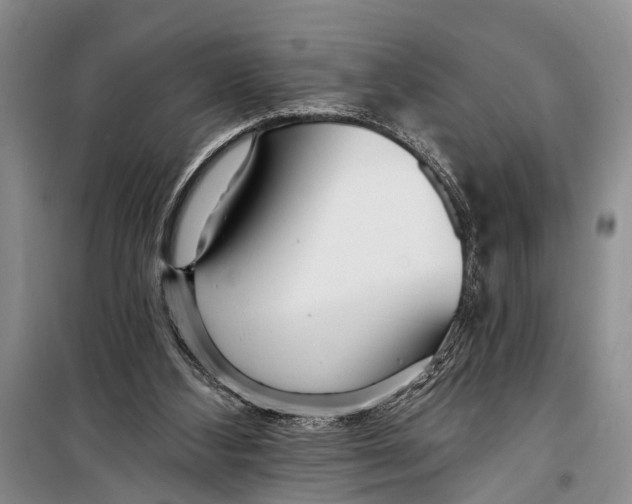 X0000098200108200805151238