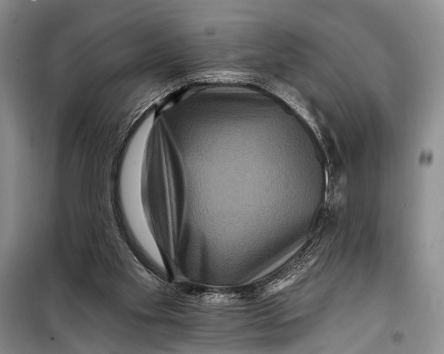 X0000098200109200805151238
