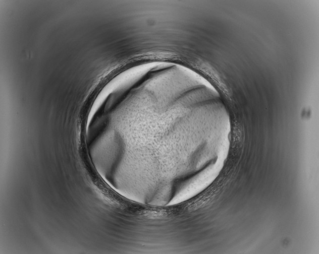 X0000098200110200805151238