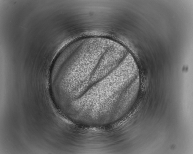 X0000098200111200805151238