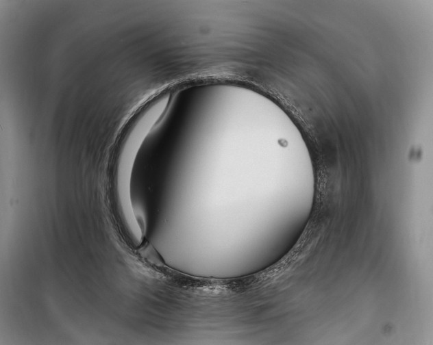 X0000098200112200805151238