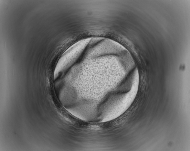 X0000098200114200805151238