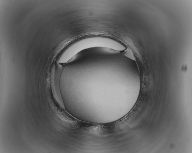 X0000098200116200805151238