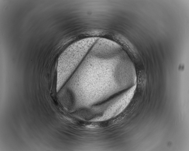 X0000098200119200805151238