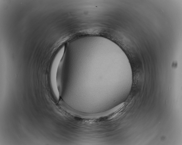X0000098200120200805151238
