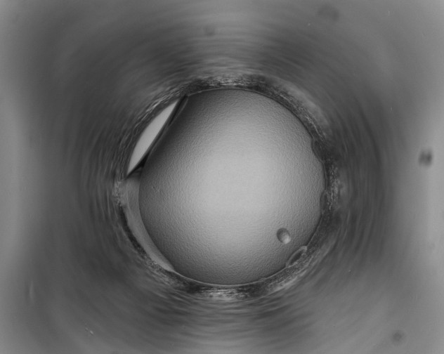 X0000098200121200805151238