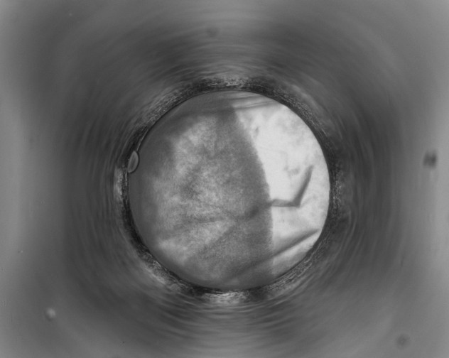X0000098200122200805151238