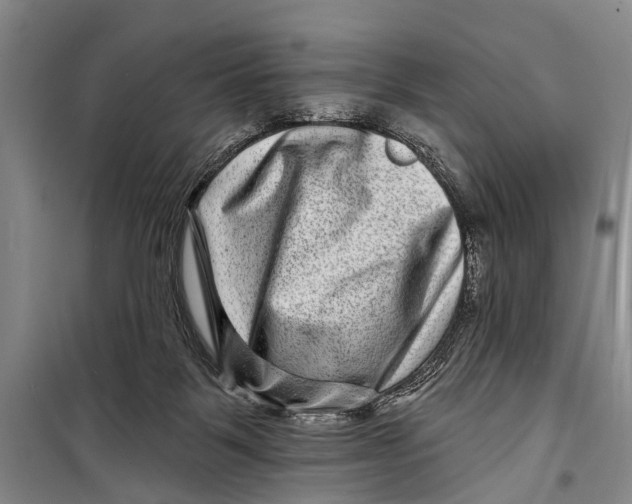 X0000098200123200805151238