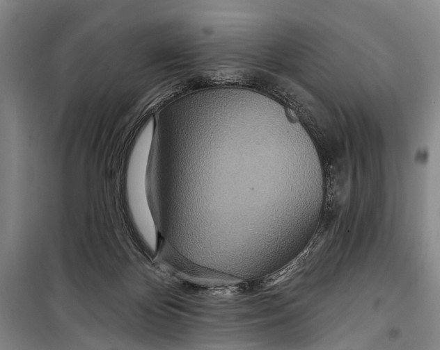 X0000098200124200805151238