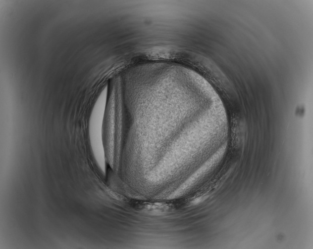 X0000098200125200805151238