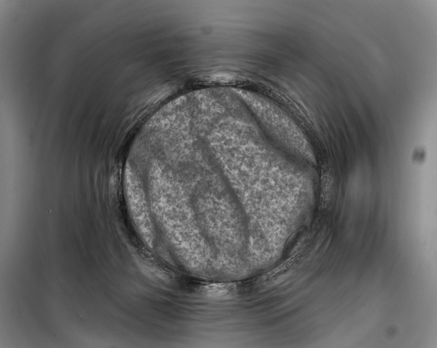 X0000098200126200805151238