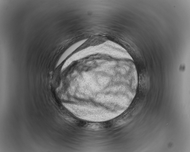 X0000098200127200805151238
