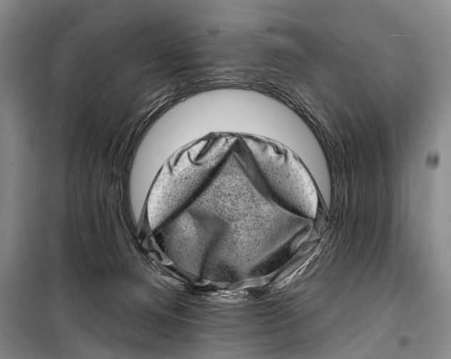 X0000098200128200805151238