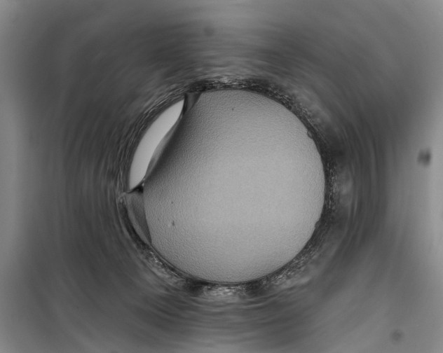 X0000098200129200805151238