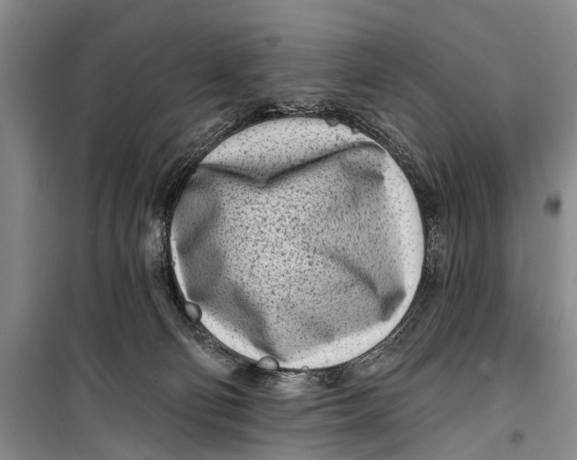 X0000098200130200805151238