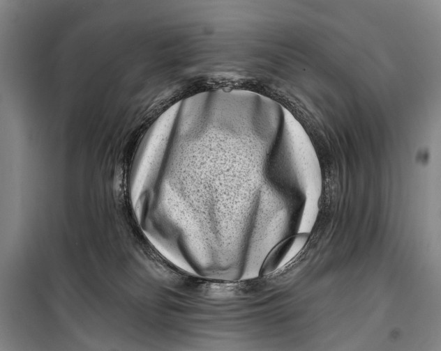 X0000098200134200805151238