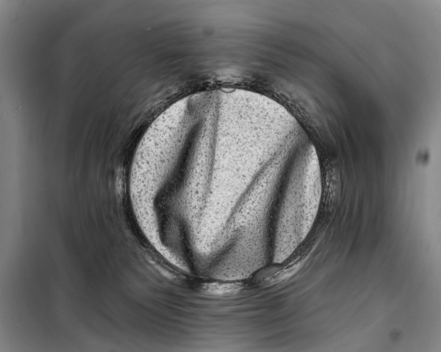 X0000098200135200805151238