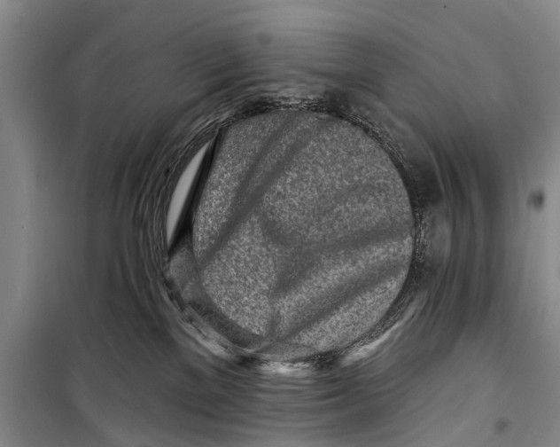 X0000098200137200805151237