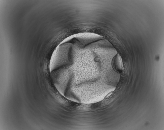 X0000098200138200805151237