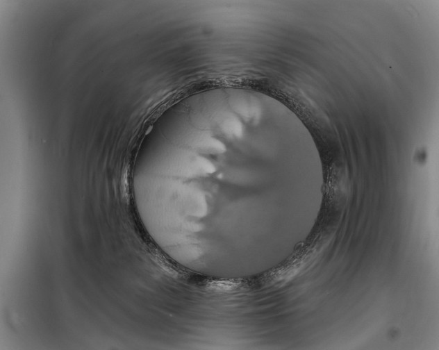 X0000098200139200805151237