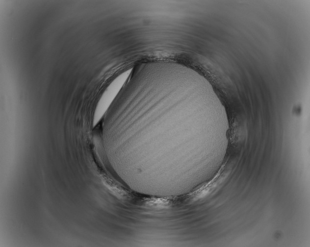 X0000098200140200805151237