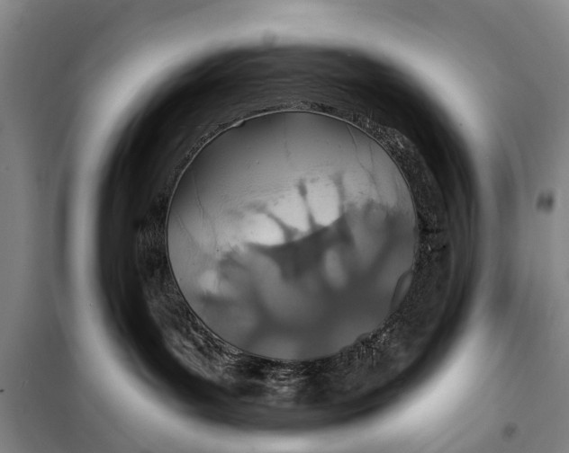 X0000098200143200805151237