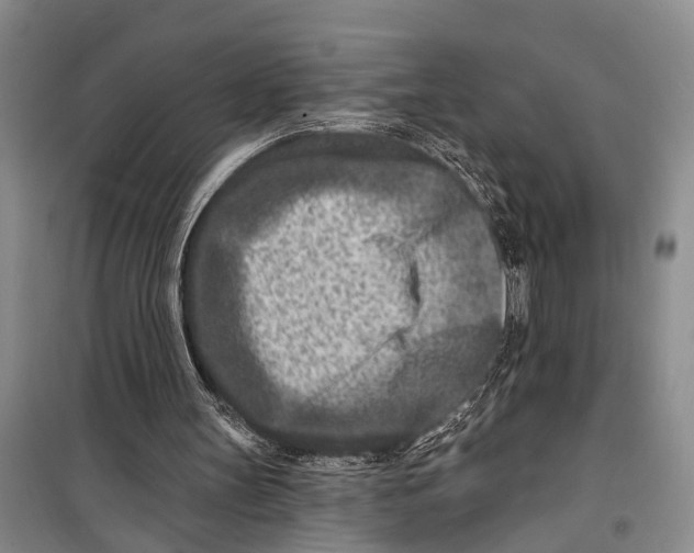 X0000098200147200805151237