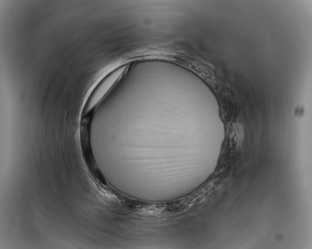 X0000098200148200805151237