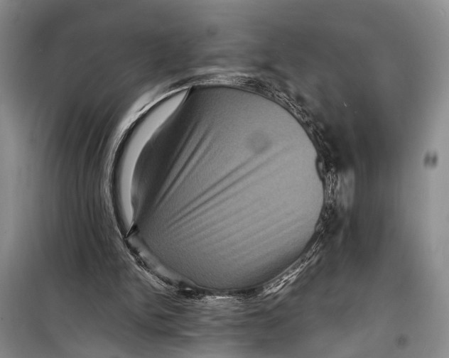 X0000098200150200805151237
