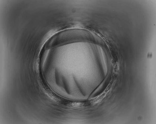 X0000098200152200805151237
