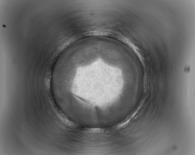 X0000098200153200805151237