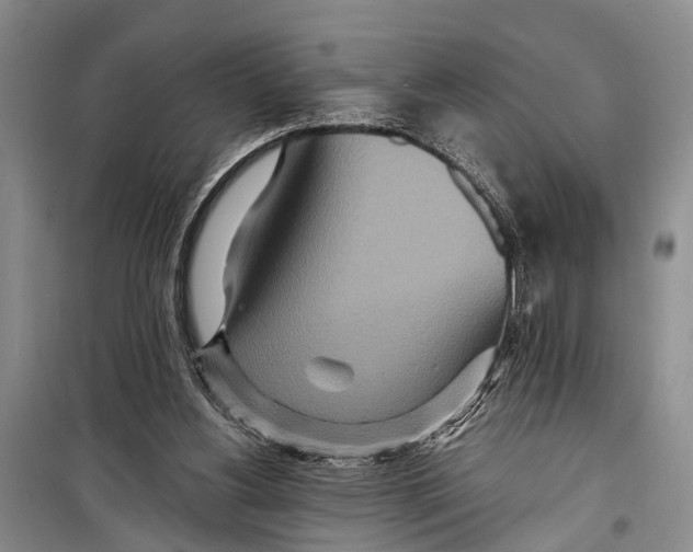 X0000098200156200805151237