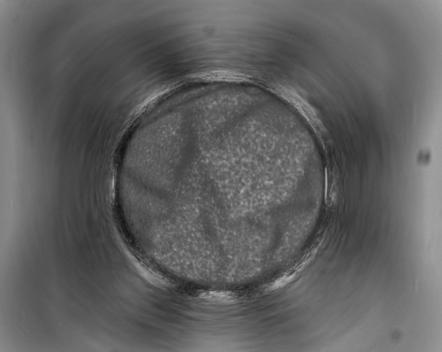 X0000098200157200805151237