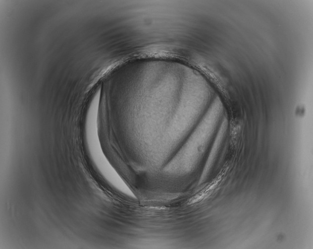 X0000098200158200805151237
