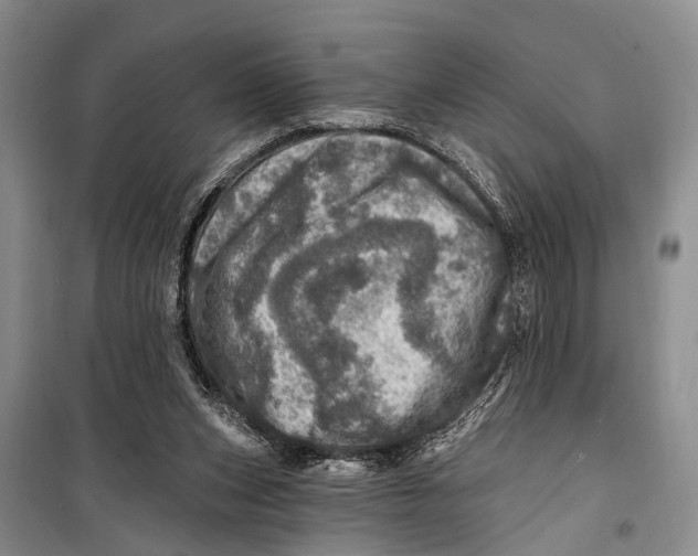 X0000098200159200805151237