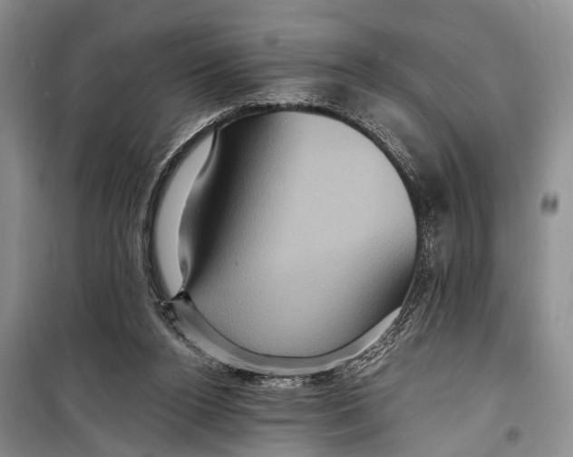 X0000098200160200805151237