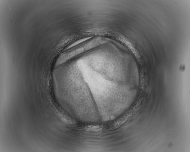 X0000098200161200805151237