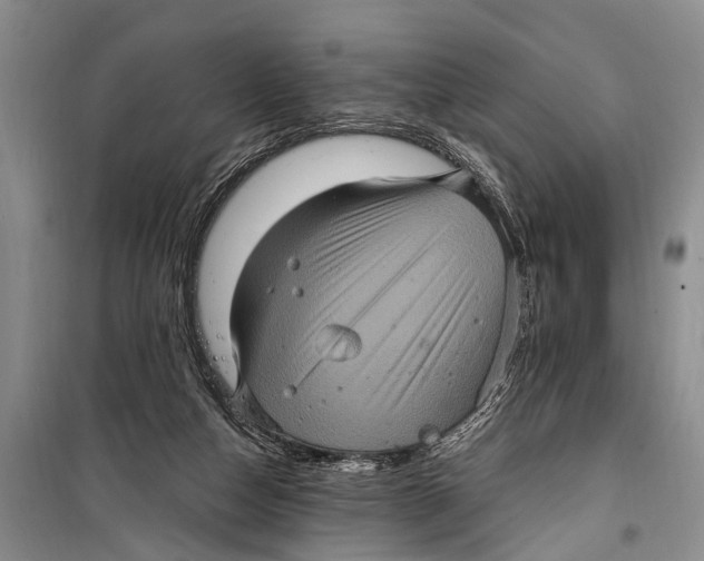 X0000098200162200805151237