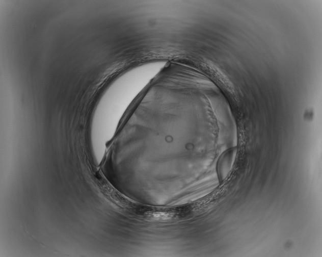 X0000098200163200805151237