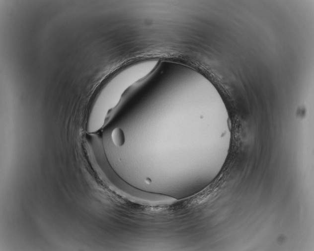 X0000098200164200805151237