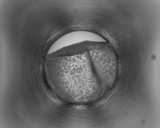 X0000098200165200805151237