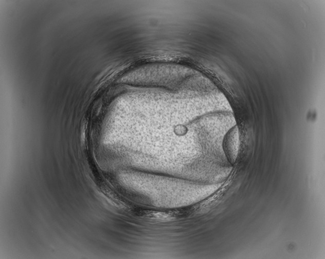 X0000098200166200805151237