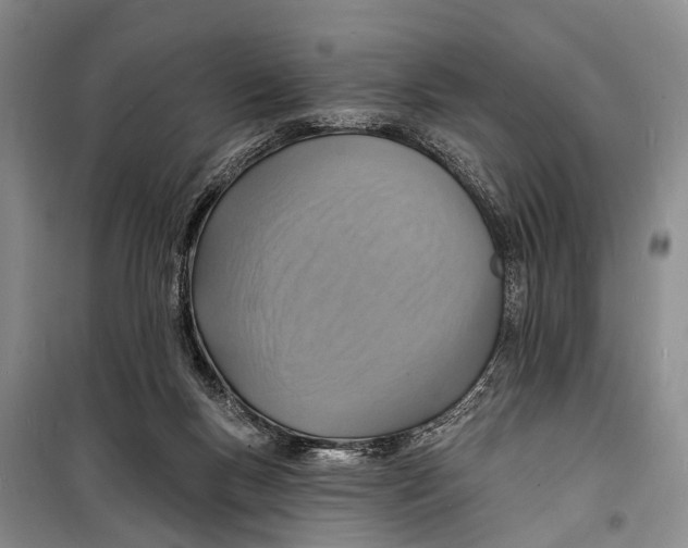 X0000098200167200805151237