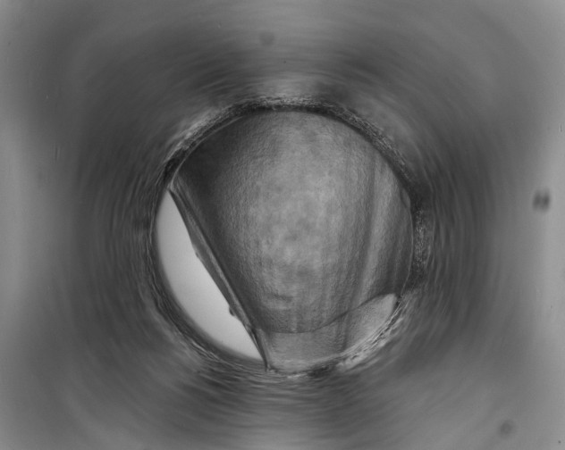X0000098200168200805151237