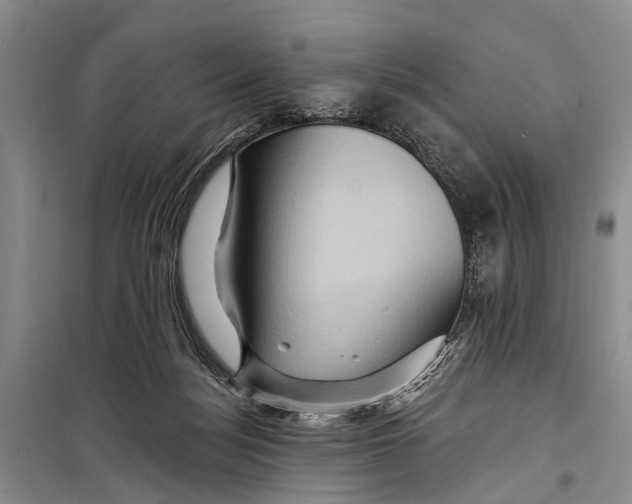 X0000098200172200805151237