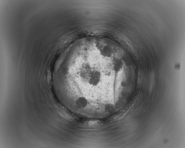X0000098200173200805151237